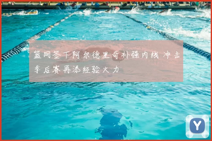 篮网签下阿尔德里奇补强内线 冲击季后赛再添经验火力