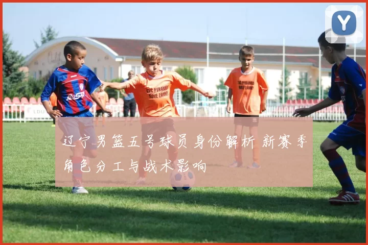 辽宁男篮五号球员身份解析 新赛季角色分工与战术影响