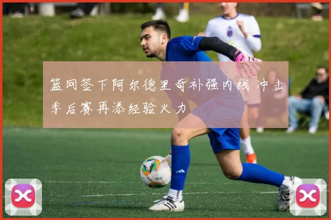 篮网签下阿尔德里奇补强内线 冲击季后赛再添经验火力